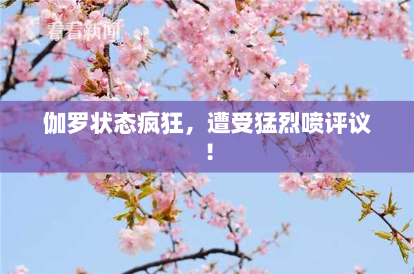 伽罗状态疯狂，遭受猛烈喷评议！