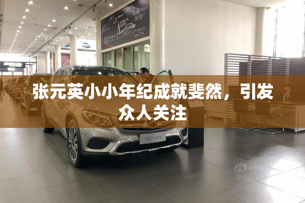 张元英小小年纪成就斐然，引发众人关注