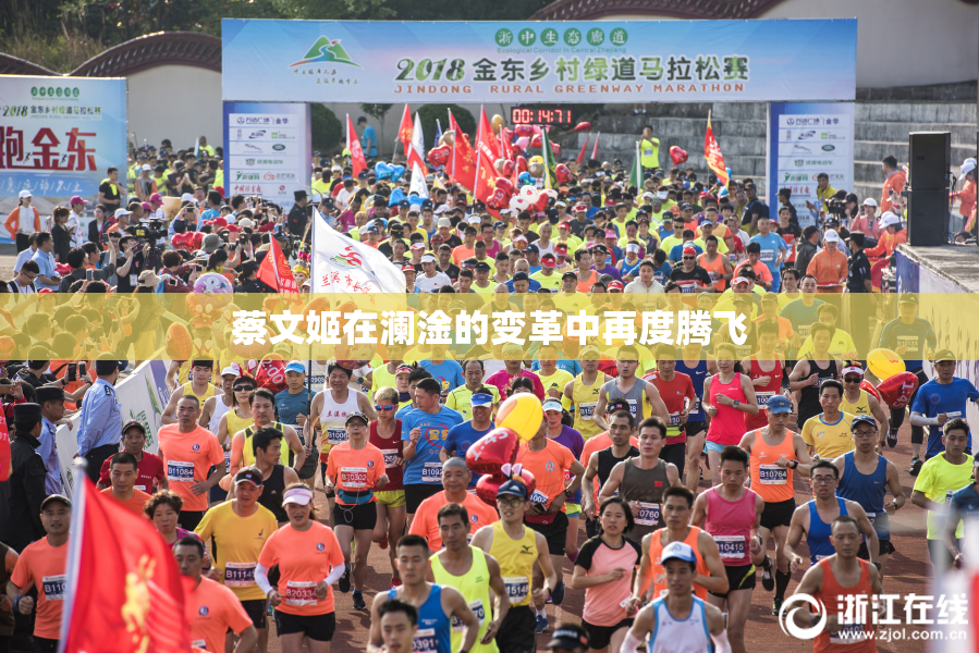 蔡文姬在澜淦的变革中再度腾飞
