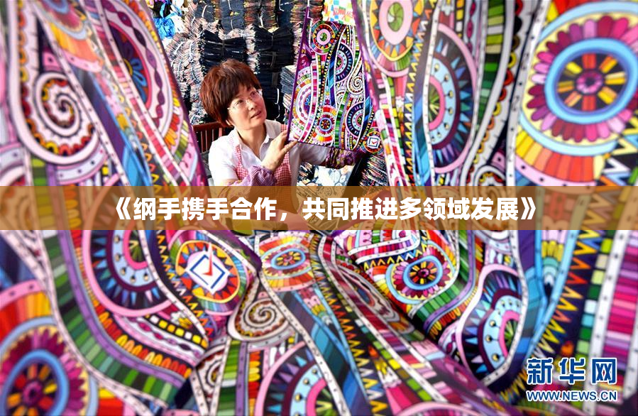 《纲手携手合作，共同推进多领域发展》