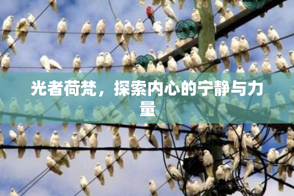 光者荷梵，探索内心的宁静与力量