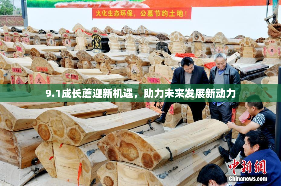 9.1成长蘑迎新机遇，助力未来发展新动力
