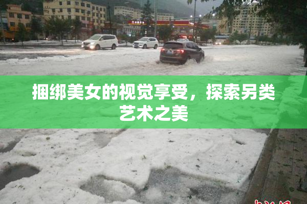 捆绑美女的视觉享受，探索另类艺术之美