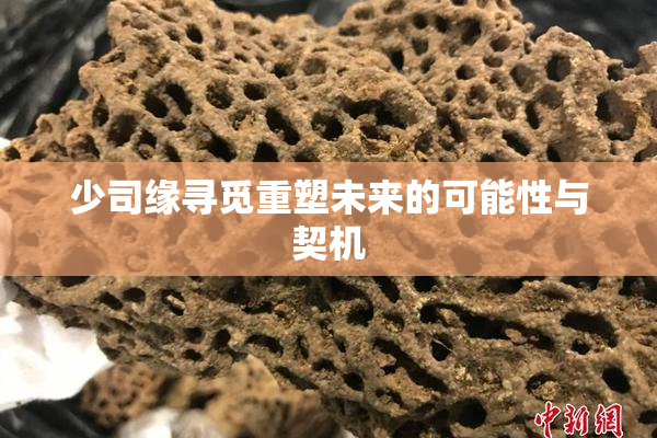 少司缘寻觅重塑未来的可能性与契机