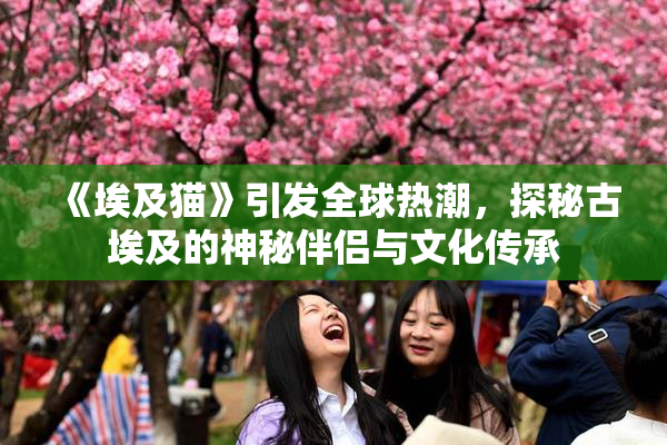 《埃及猫》引发全球热潮，探秘古埃及的神秘伴侣与文化传承