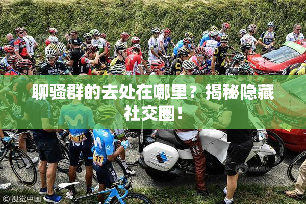 聊骚群的去处在哪里？揭秘隐藏社交圈！