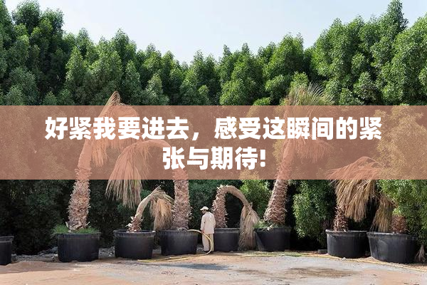 好紧我要进去，感受这瞬间的紧张与期待!