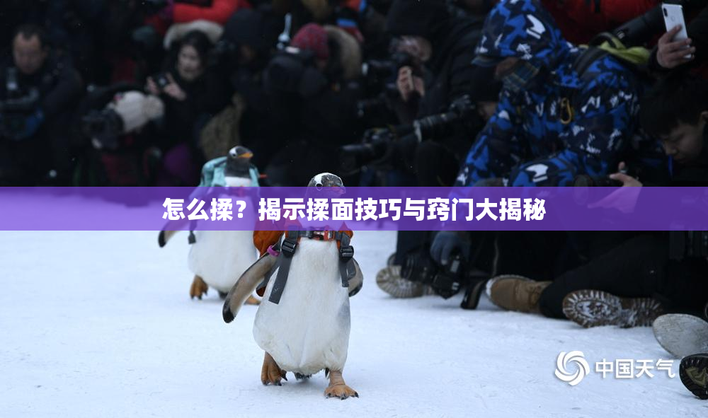 怎么揉？揭示揉面技巧与窍门大揭秘