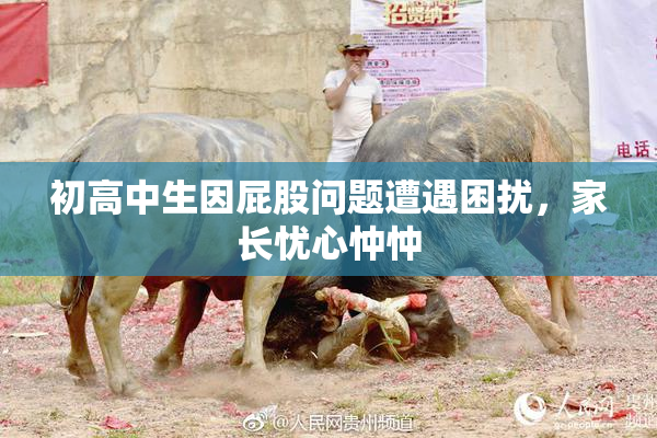 初高中生因屁股问题遭遇困扰，家长忧心忡忡