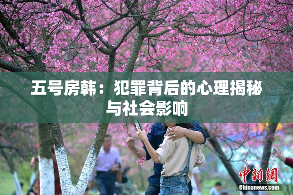 五号房韩：犯罪背后的心理揭秘与社会影响
