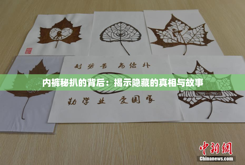 内裤秘扒的背后：揭示隐藏的真相与故事