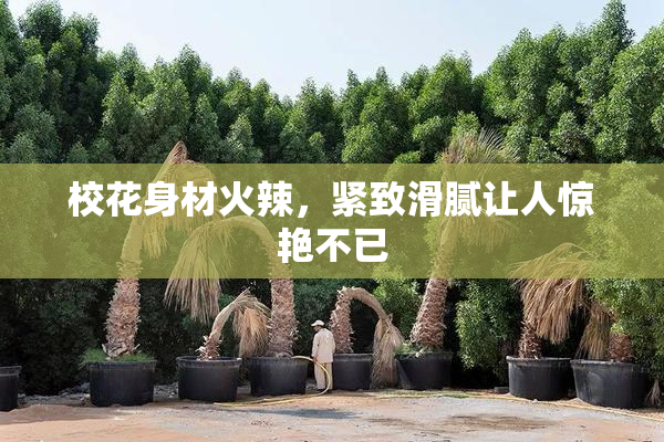校花身材火辣，紧致滑腻让人惊艳不已