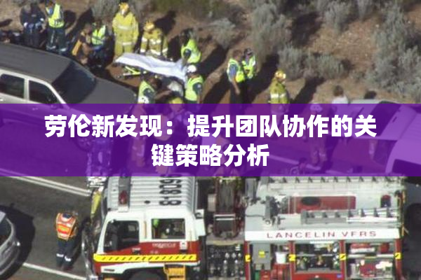 劳伦新发现：提升团队协作的关键策略分析