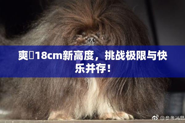 爽擼18cm新高度，挑战极限与快乐并存！