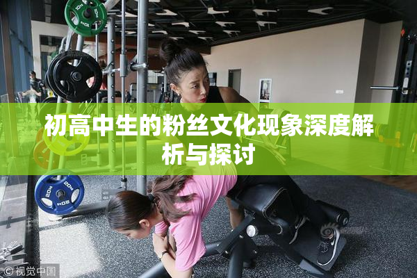 初高中生的粉丝文化现象深度解析与探讨