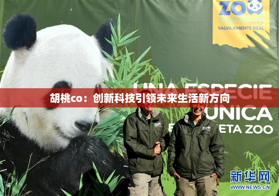 胡桃co：创新科技引领未来生活新方向