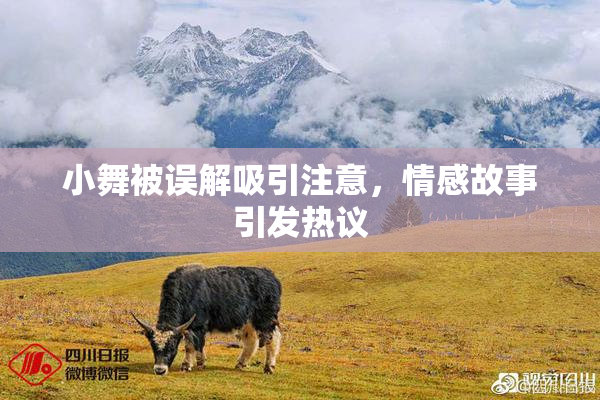 小舞被误解吸引注意，情感故事引发热议