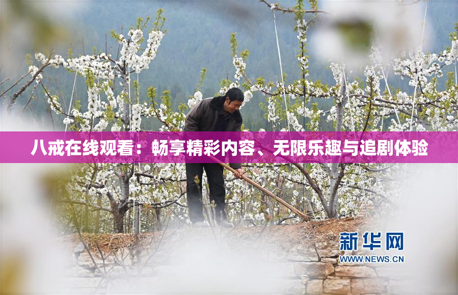 八戒在线观看：畅享精彩内容、无限乐趣与追剧体验