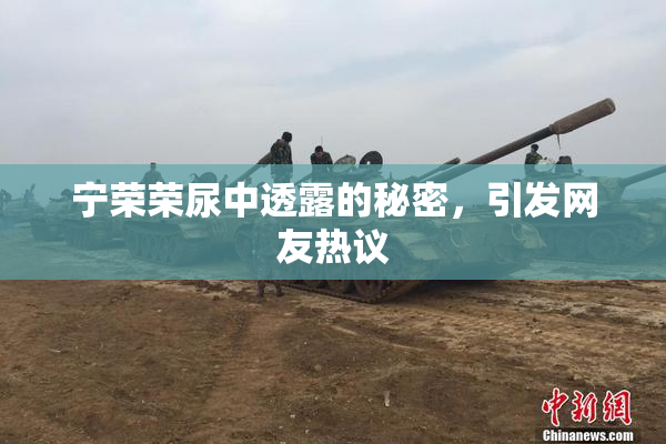 宁荣荣尿中透露的秘密，引发网友热议