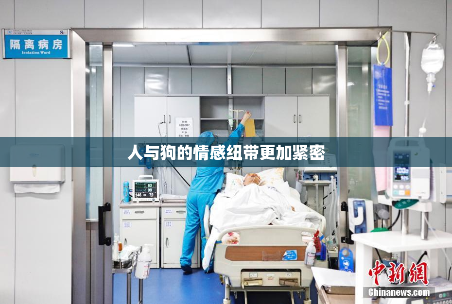 人与狗的情感纽带更加紧密