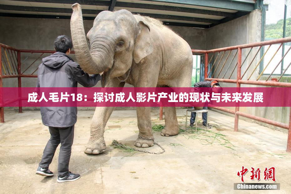 成人毛片18：探讨成人影片产业的现状与未来发展
