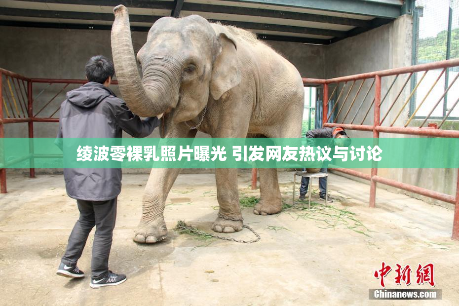 绫波零裸乳照片曝光 引发网友热议与讨论