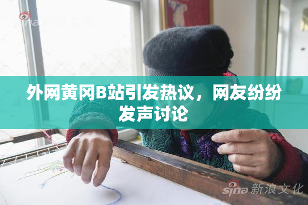外网黄冈B站引发热议，网友纷纷发声讨论