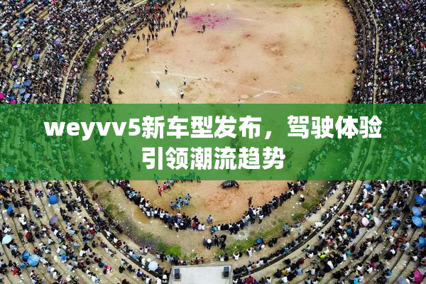 weyvv5新车型发布，驾驶体验引领潮流趋势