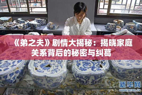 《弟之夫》剧情大揭秘：揭晓家庭关系背后的秘密与纠葛