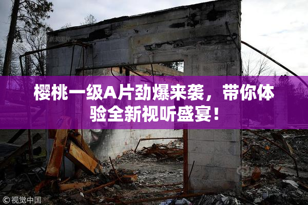 樱桃一级A片劲爆来袭，带你体验全新视听盛宴！