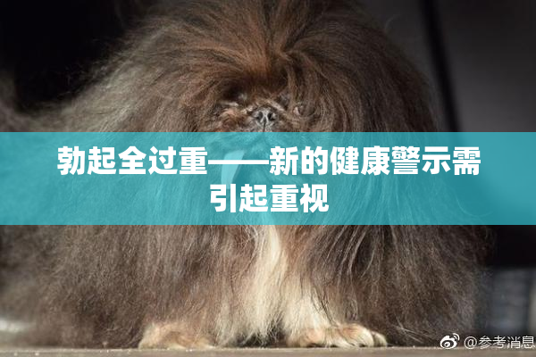 勃起全过重——新的健康警示需引起重视