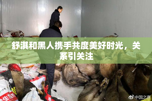舒淇和黑人携手共度美好时光，关系引关注