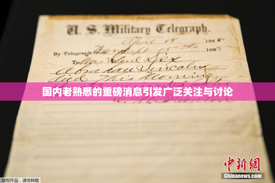 国内老熟悉的重磅消息引发广泛关注与讨论