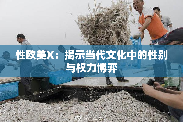 性欧美X：揭示当代文化中的性别与权力博弈