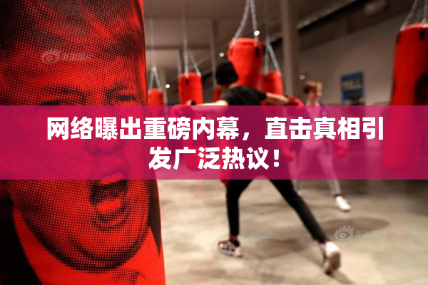 网络曝出重磅内幕，直击真相引发广泛热议！