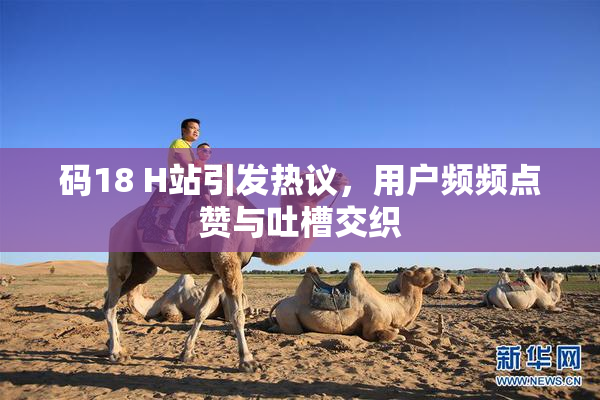 码18 H站引发热议，用户频频点赞与吐槽交织