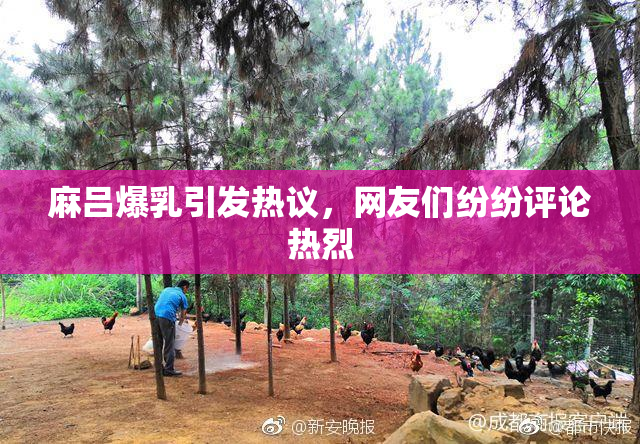 麻吕爆乳引发热议，网友们纷纷评论热烈