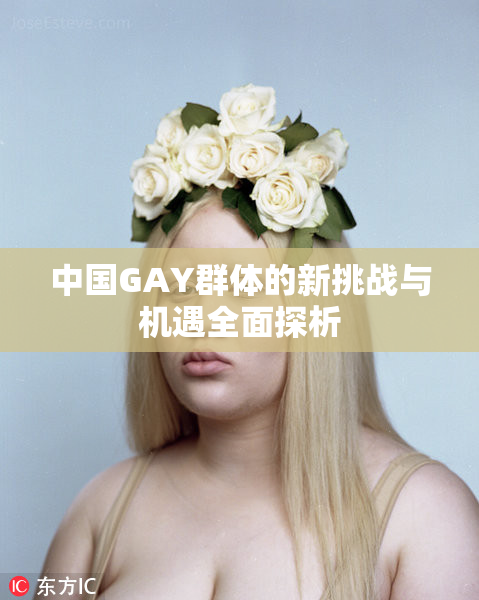 中国GAY群体的新挑战与机遇全面探析