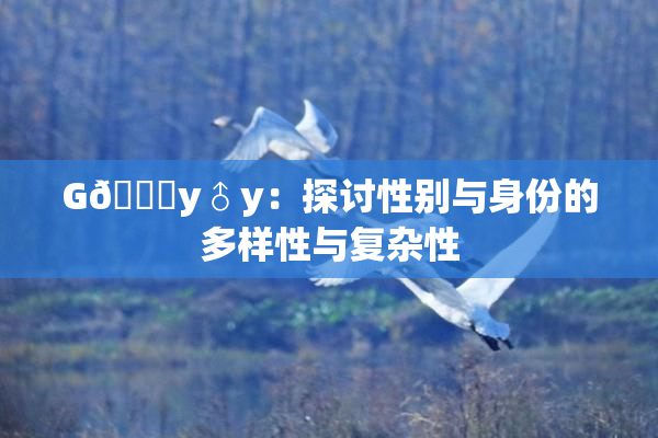 G🈚y♂y：探讨性别与身份的多样性与复杂性