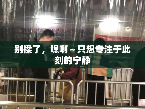 别揉了，嗯啊～只想专注于此刻的宁静