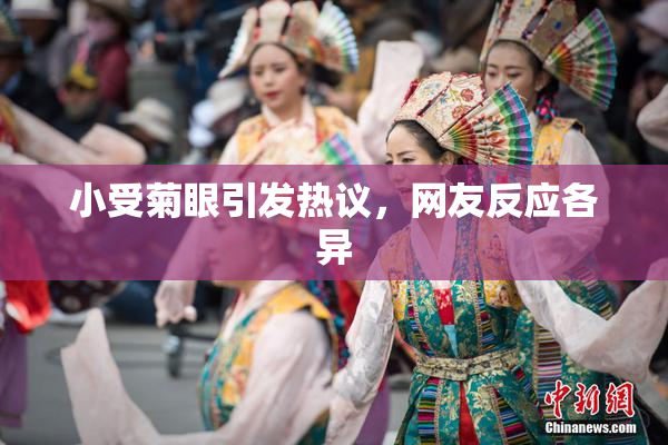 小受菊眼引发热议，网友反应各异