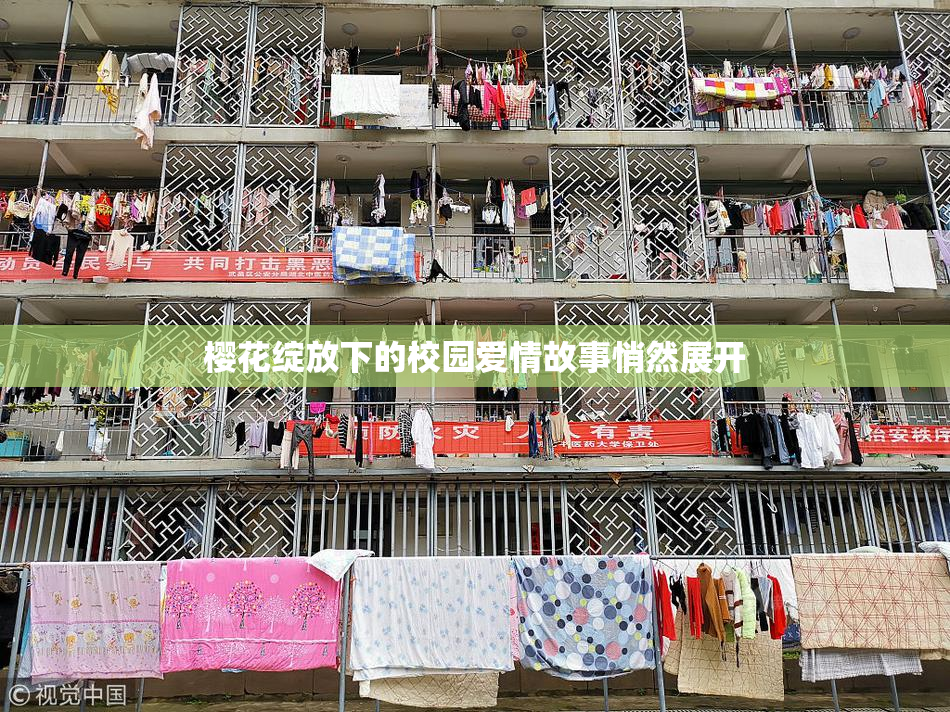 樱花绽放下的校园爱情故事悄然展开