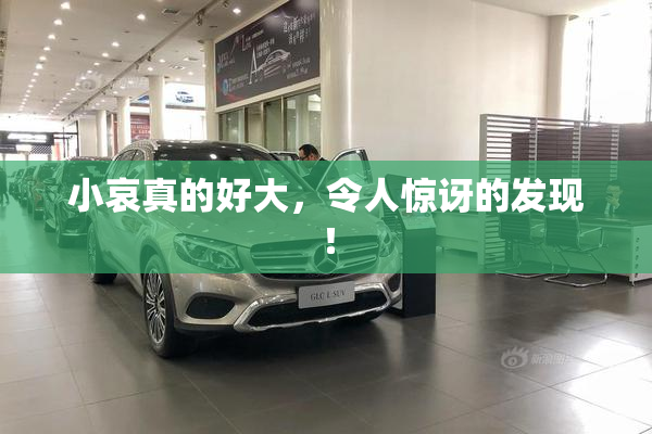 小哀真的好大，令人惊讶的发现！