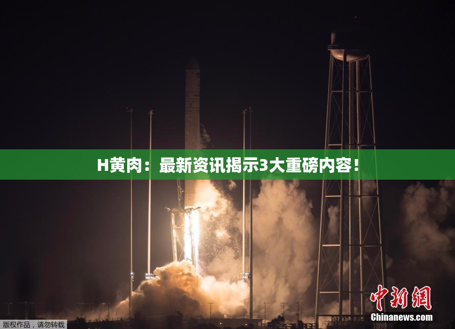 H黄肉：最新资讯揭示3大重磅内容！