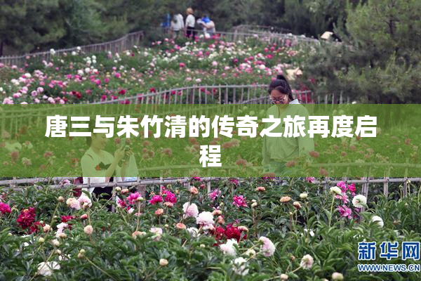 唐三与朱竹清的传奇之旅再度启程