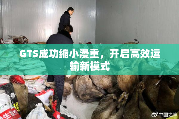 GTS成功缩小漫重，开启高效运输新模式
