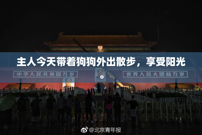 主人今天带着狗狗外出散步，享受阳光。