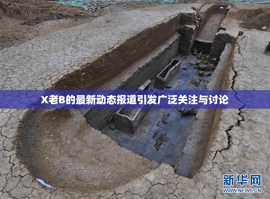 X老B的最新动态报道引发广泛关注与讨论