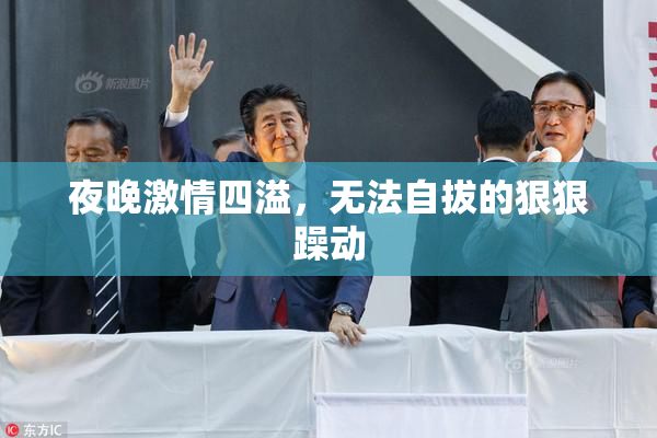 夜晚激情四溢，无法自拔的狠狠躁动