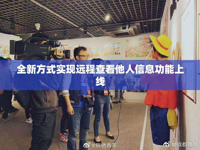 全新方式实现远程查看他人信息功能上线